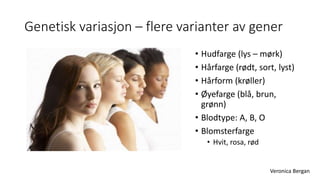 Genetisk variasjon – flere varianter av gener 
• Hudfarge (lys – mørk) 
• Hårfarge (rødt, sort, lyst) 
• Hårform (krøller) 
• Øyefarge (blå, brun, 
grønn) 
• Blodtype: A, B, O 
• Blomsterfarge 
• Hvit, rosa, rød 
Veronica Bergan 
 