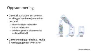 Oppsummering 
• Genetisk variasjon er summen 
av alle genkombinasjonene i en 
bestand 
• Liten variasjon = sårbarhet 
• Innavl = sårbarhet 
• Sykdomsgener er ofte recessivt 
nedarvet (skjult) 
• Genteknologi gjør det bl.a. mulig 
å kartlegge genetisk variasjon 
Veronica Bergan 
 