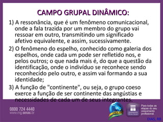 1) A ressonância, que é um fenômeno comunicacional, onde a fala trazida por um membro do grupo vai ressoar em outro, transmitindo um significado afetivo equivalente, e assim, sucessivamente.  2) O fenômeno do espelho, conhecido como galeria dos espelhos, onde cada um pode ser refletido nos, e pelos outros; o que nada mais é, do que a questão da identificação, onde o indivíduo se reconhece sendo reconhecido pelo outro, e assim vai formando a sua identidade;  3) A função de "continente", ou seja, o grupo coeso exerce a função de ser continente das angústias e necessidades de cada um de seus integrantes.  CAMPO GRUPAL DINÂMICO: DIAS, RB 