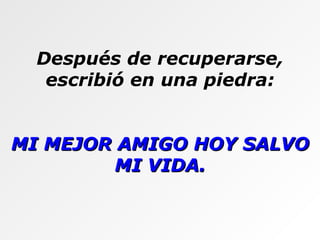 Después de recuperarse, escribió en una piedra: MI MEJOR AMIGO HOY SALVO MI VIDA. 
