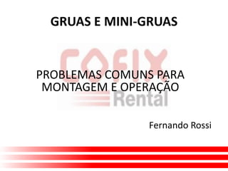 GRUAS E MINI-GRUAS
PROBLEMAS COMUNS PARA
MONTAGEM E OPERAÇÃO
Fernando Rossi
 