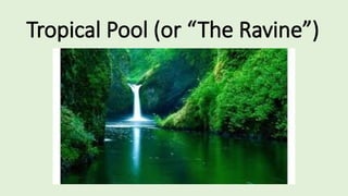 Tropical Pool (or “The Ravine”)
 