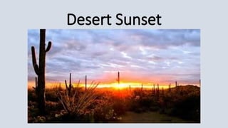 Desert Sunset
 