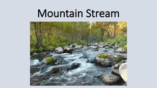 Mountain Stream
 