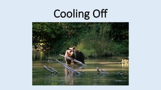 Cooling Off
 