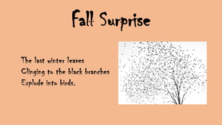 Fall Surprise
 