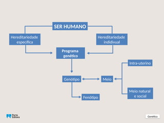 Genética
SER HUMANO
Hereditariedade
específica
Hereditariedade
indidivual
Programa
genético
Genótipo
Fenótipo
Meio
Intra-uterino
Meio natural
e social
 