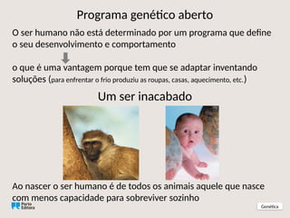 Programa genético aberto
O ser humano não está determinado por um programa que define
o seu desenvolvimento e comportamento
o que é uma vantagem porque tem que se adaptar inventando
soluções (para enfrentar o frio produziu as roupas, casas, aquecimento, etc.)
Genética
Um ser inacabado
Ao nascer o ser humano é de todos os animais aquele que nasce
com menos capacidade para sobreviver sozinho
 