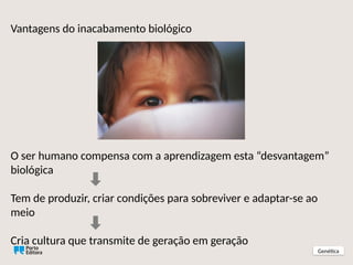 Vantagens do inacabamento biológico
O ser humano compensa com a aprendizagem esta “desvantagem”
biológica
Tem de produzir, criar condições para sobreviver e adaptar-se ao
meio
Cria cultura que transmite de geração em geração
Genética
 