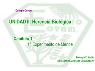 Colegio Coyam



UNIDAD II: Herencia Biológica


  Capítulo 1:
         1° Experimento de Mendel

                                          Biología 2º Medio
                        Profesora: M. Angélica Sepúlveda V.
 