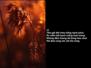 17. Tắm gội đời nhau bằng hạnh phúc Ru niềm bất hạnh ruỗng hoài mong Những đêm hoang dã bừng hoa chúc Hai đứa cùng reo với lửa rừng. 