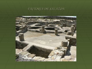 FACTORIA DE SALAZON
 