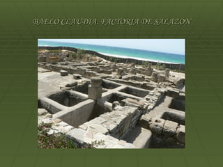 BAELO CLAUDIA. FACTORIA DE SALAZON
 