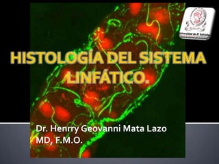 HISTOLOGÍA DEL SISTEMA LINFÁTICO. Dr. HenrryGeovanni Mata Lazo MD, F.M.O.  