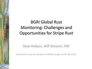 BGRI Global Rust Monitoring: Challenges and Opportunities for Stripe Rust Dave Hodson, AGP Division, FAO International Stripe Rust Symposium, ICARDA, Aleppo, 18-20th April 2011 