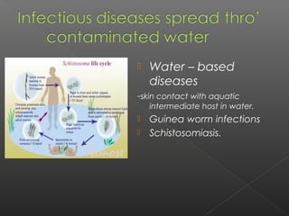    Water – based
    diseases
-skin contact with aquatic
    intermediate host in water.
   Guinea worm infections
   Schistosomiasis.
 