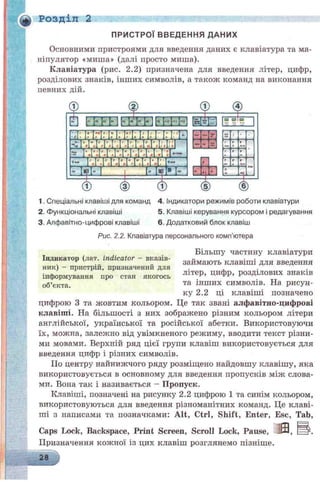 £ Розділ 2
ПРИСТРОЇ введен ня даних
Основними пристроями для введення даних є клавіатура та ма­
ніпулятор «миша» (далі просто миша).
Клавіатура (рис. 2.2) призначена для введення літер, цифр,
розділових знаків, інших символів, а також команд на виконання
певних дій.
Е Е Ш Е Е Е В Е Е Е В
© ___ (4)
ill І |в вів
.!: Іг І.і:!: І; І;'ІЛ ;!;!' І: !;'!'•
ш ш ш г
І
1. Спеціальні клавіші для команд 4. Індикатори режимів роботи клавіатури
2. Функціональні клавіші 5. Клавіші керування курсором і редагування
3. Алфавітно-цифрові клавіші 6. Додатковий блок клавіш
Рис. 2.2. Клавіатура персонального комп'ютера
Індикатор (лат. indicator - вказів­
ник) - пристрій, призначений для
інформування про стан якогось
об’єкта.
Більшу частину клавіатури
займають клавіші для введення
літер, цифр, розділових знаків
та інших символів. На рисун­
ку 2.2 ці клавіші позначено
цифрою 3 та жовтим кольором. Це так звані алфавітно-цифрові
клавіші. На більшості з них зображено різним кольором літери
англійської, української та російської абетки. Використовуючи
їх, можна, залежно від увімкненого режиму, вводити текст різни­
ми мовами. Верхній ряд цієї групи клавіш використовується для
введення цифр і різних символів.
ІІо центру найнижчого ряду розміщено найдовшу клавішу, яка
використовується в основному для введення пропусків між слова­
ми. Вона так і називається - Пропуск.
Клавіші, позначені на рисунку 2.2 цифрою 1 та синім кольором,
використовуються для введення різноманітних команд. Це клаві­
ші з написами та позначками: Alt, Ctrl, Shift, Enter, Esc, Tab,
Caps Lock, Backspace, Print Screen, Scroll Lock, Pause,
Призначення кожної із цих клавіш розглянемо пізніше.
28
 