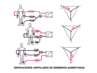 DERIVACIONES UNIPOLARES DE MIEMBROS AUMENTADAS
