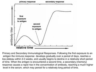 Primary and Secondary Immunological Responses. Following the first exposure to an
antigen the immune response develops gradually over a period of days, reaches a
low plateau within 2-3 weeks, and usually begins to decline in a relatively short period
of time. When the antigen is encountered a second time, a secondary (memory)
response causes a rapid rise in the concentration of antibody, reaching a much higher
level in the serum, which may persist for a relatively long period of time.
 