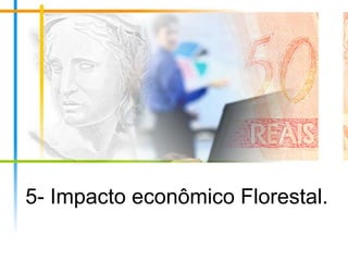 5- Impacto econômico Florestal.

 