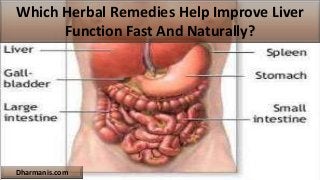 Which Herbal Remedies Help Improve Liver
Function Fast And Naturally?
Dharmanis.com
 