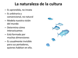 La naturaleza de la cultura Es aprendida, no innata Es arbitraria y convencional, no natural Modela nuestra visión del mundo Determina cómo interactuamos Está formada por muchas dimensiones Es usualmente invisible para sus portadores, quienes habitan en ella. 