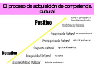 El proceso de adquisición de competencia cultural Proficiencia Cultural  Competencia Cultural Precompetencia Cultural Ceguera cultural Incapacidad Cultural Destructividad Cultural  Positivo Negativo Asimilación forzada Racismo Ignorar diferencias Admitir problemas Reconocer diferencias Cambios para satisfacer Necesidades culturales 
