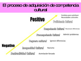 El proceso de adquisición de competencia cultural Proficiencia Cultural  Competencia Cultural Precompetencia Cultural Cegu...