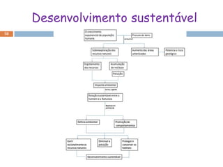 Desenvolvimento sustentável
58
 