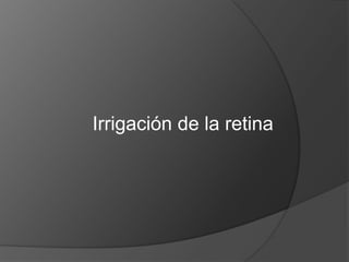 Irrigación de la retina
 