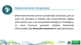 Relacionamento intrapessoal
• Diferentemente dos animais considerados irracionais, para os
quais em princípio as relações são essencialmente regidas
pelo instinto e por suas necessidades biológicas e fisiológicas,
os seres humanos possuem relações fortemente
influenciadas pela dimensão emocional de cada participante.
 