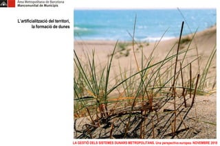 LA GESTIÓ DELS SISTEMES DUNARS METROPOLITANS. Una perspectiva europea. NOVEMBRE 2010 L’artificialització del territori, la formació de dunes 