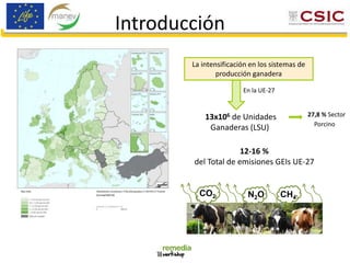 La intensificación en los sistemas de
producción ganadera
En la UE-27
13x106 de Unidades
Ganaderas (LSU)
27,8 % Sector
Porcino
12-16 %
del Total de emisiones GEIs UE-27
CO2 N2O CH4
Introducción
 
