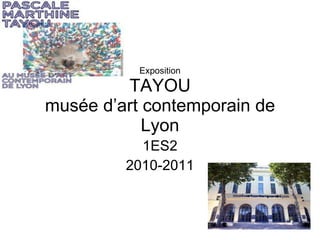 Exposition TAYOU musée d’art contemporain de Lyon 1ES2 2010-2011 