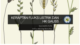 KERAPTAN FLUKS LISTRIK DAN
HK GAUSS
DILA MARTA PUTRI
Institut Teknologi Bisnis Riau
 
