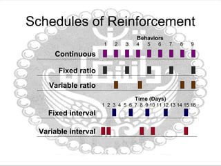 Schedules of Reinforcement
Behaviors
1 2 3 4 5 6 7 8 9
Continuous
Fixed ratio
Variable ratio
Fixed interval
Time (Days)
1 2 3 4 5 6 7 8 9 10 11 12 13 14 15 16
Variable interval
 