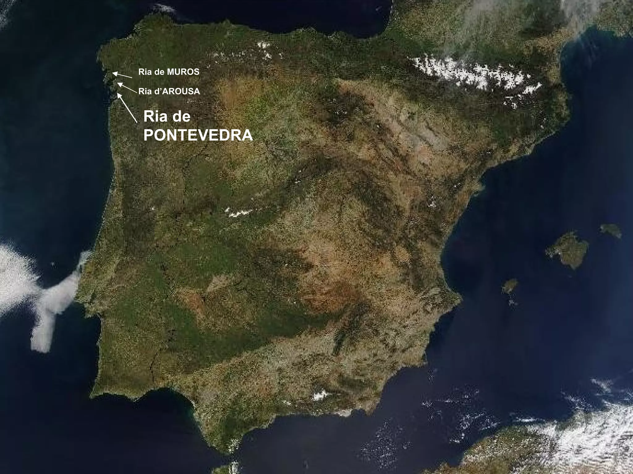 Ria de MUROS Ria d’AROUSA Ria de PONTEVEDRA 