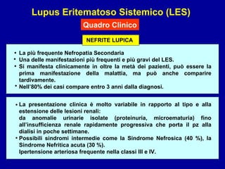 Lupus Eritematoso Sistemico (LES) Quadro Clinico NEFRITE LUPICA La più frequente Nefropatia Secondaria Una delle manifestazioni più frequenti e più gravi del LES.  Si manifesta clinicamente in oltre la metà dei pazienti, può essere la prima manifestazione della malattia, ma può anche comparire tardivamente.  Nell’80% dei casi compare entro 3 anni dalla diagnosi. La presentazione clinica è molto variabile in rapporto al tipo e alla estensione delle lesioni renali:  da anomalie urinarie isolate (proteinuria, microematuria) fino all’insufficienza renale rapidamente progressiva che porta il pz alla dialisi in poche settimane.  Possibili sindromi intermedie come la Sindrome Nefrosica (40 %), la Sindrome Nefritica acuta (30 %). Ipertensione arteriosa frequente nella classi III e IV. • • • • • • 
