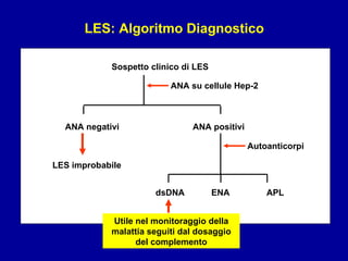 Sospetto clinico di LES ANA negativi ANA positivi dsDNA ENA APL ANA su cellule Hep-2 LES improbabile Autoanticorpi LES: Algoritmo Diagnostico Utile nel monitoraggio della malattia seguiti dal dosaggio del complemento 