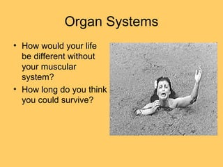 Organ Systems
• How would your life
be different without
your muscular
system?
• How long do you think
you could survive?
 