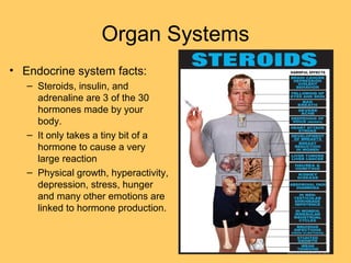 Organ Systems
• Endocrine system facts:
– Steroids, insulin, and
adrenaline are 3 of the 30
hormones made by your
body.
– It only takes a tiny bit of a
hormone to cause a very
large reaction
– Physical growth, hyperactivity,
depression, stress, hunger
and many other emotions are
linked to hormone production.
 