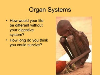 Organ Systems
• How would your life
be different without
your digestive
system?
• How long do you think
you could survive?
 
