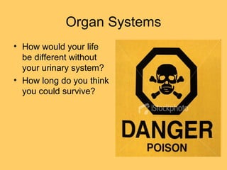 Organ Systems
• How would your life
be different without
your urinary system?
• How long do you think
you could survive?
 