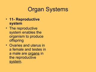 Organ Systems
• 11- Reproductive
system
• The reproductive
system enables the
organism to produce
offspring
• Ovaries and uterus in
a female and testes in
a male are organs in
the reproductive
system.
 