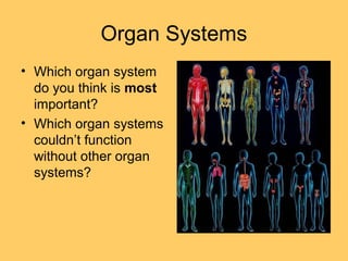 Organ Systems
• Which organ system
do you think is most
important?
• Which organ systems
couldn’t function
without other organ
systems?
 