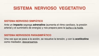 SISTEMA NERVIOSO VEGETATIVO
SISTEMA NERVIOSO SIMPÁTICO
Ante un impacto segrega adrenalina (aumenta el ritmo cardíaco, la presión
arterial y el suministro de energía) y nos prepara para la lucha o la huida.
SISTEMA NERVIOSOS PARASIMPÁTICO
Una vez que se pasa a la acción, se resuelve la tensión, y con la acetilcolina
como mediador, descansamos.
 