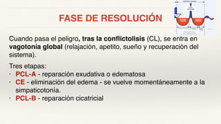 FASE DE RESOLUCIÓN
Cuando pasa el peligro, tras la conflictolisis (CL), se entra en
vagotonía global (relajación, apetito, sueño y recuperación del
sistema).
Tres etapas:
• PCL-A - reparación exudativa o edematosa
• CE - eliminación del edema - se vuelve momentáneamente a la
simpaticotonía.
• PCL-B - reparación cicatricial
 