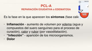 PCL-A
REPARACIÓN EXUDATIVA o EDEMATOSA
Es la fase en la que aparecen los síntomas (fase caliente):
• Inflamación - aumento de volumen por edema (agua y
compuestos del suero sanguíneo para el proceso de
curación), calor y rubor (por vasodilatación).
• “Infección” - aparición de los microorganismos.
• Dolor
 