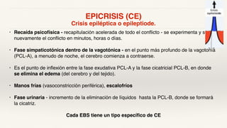 EPICRISIS (CE)
Crisis epiléptica o epileptiode.
• Recaída psicofísica - recapitulación acelerada de todo el conflicto - se experimenta y sufre
nuevamente el conflicto en minutos, horas o días.
• Fase simpaticotónica dentro de la vagotónica - en el punto más profundo de la vagotonía
(PCL-A), a menudo de noche, el cerebro comienza a contraerse.
• Es el punto de inflexión entre la fase exudativa PCL-A y la fase cicatricial PCL-B, en donde
se elimina el edema (del cerebro y del tejido).
• Manos frías (vasoconstricción periférica), escalofríos
• Fase urinaria - incremento de la eliminación de líquidos hasta la PCL-B, donde se formará
la cicatriz.
Cada EBS tiene un tipo específico de CE
 