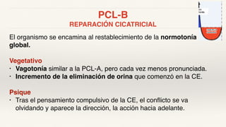 PCL-B
REPARACIÓN CICATRICIAL
El organismo se encamina al restablecimiento de la normotonía
global.
Vegetativo
• Vagotonía similar a la PCL-A, pero cada vez menos pronunciada.
• Incremento de la eliminación de orina que comenzó en la CE.
Psique
• Tras el pensamiento compulsivo de la CE, el conflicto se va
olvidando y aparece la dirección, la acción hacia adelante.
 